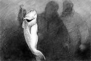 The Selection (Charcoal)