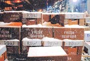 Boxes of Fish in the Snow (Photogiclee)