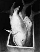 Box of Fish (Charcoal)