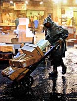 Rain Slicker (Photogiclee)